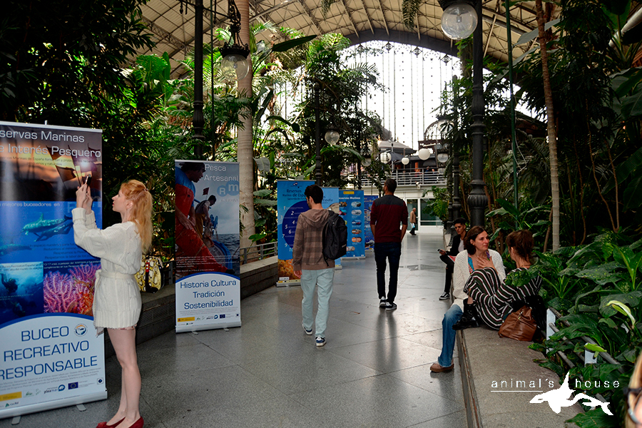 Exposición de Reservas Marinas en Atocha